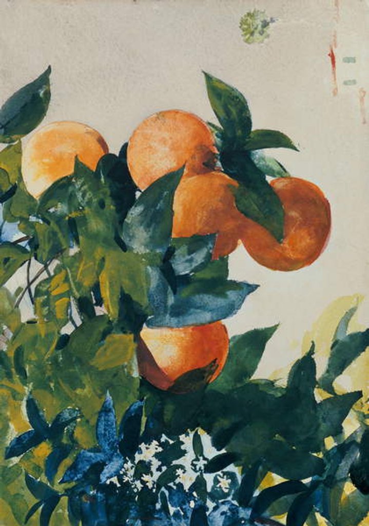 Detail of Oranges on a Branch, 1885 by Winslow Homer