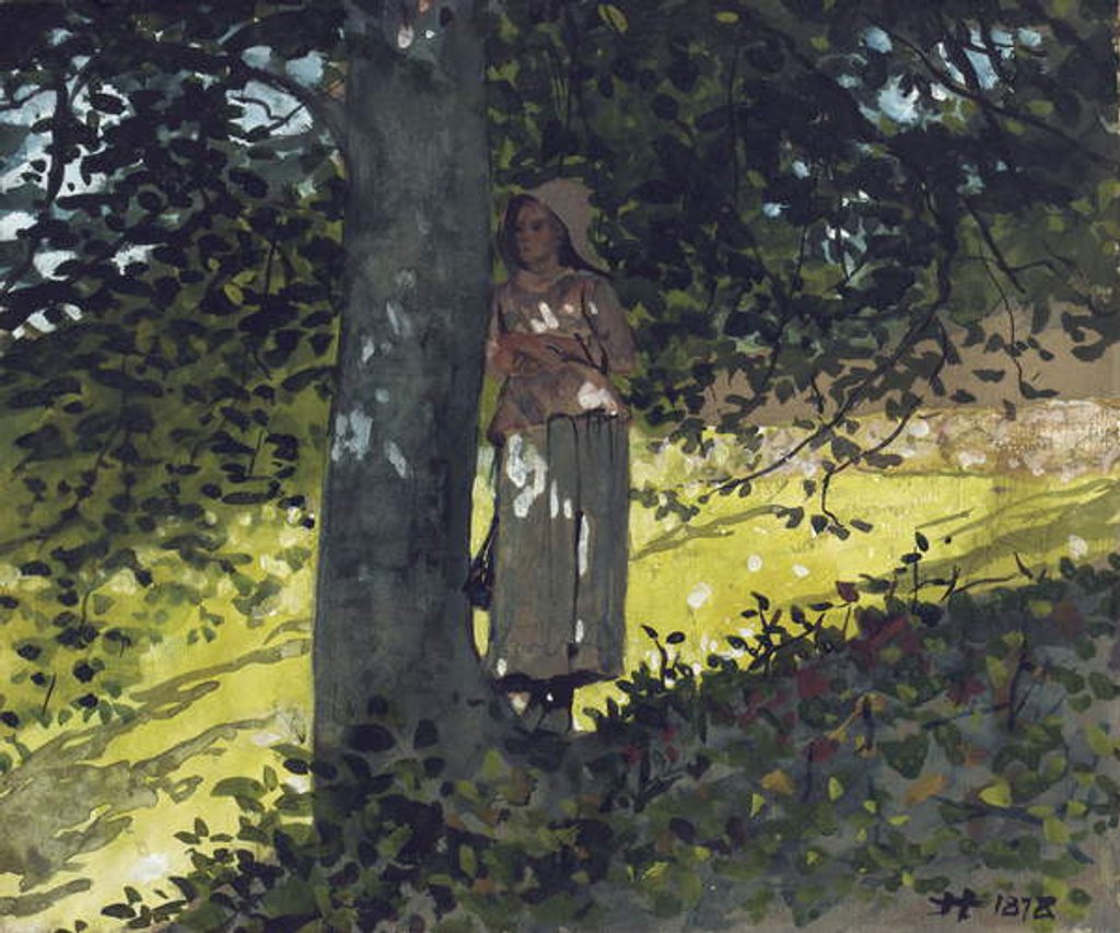 Detail of A Shady Spot, Houghton Farm, 1878 by Winslow Homer