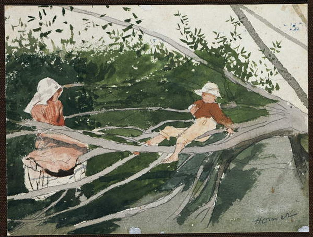 Detail of Out on a Limb by Winslow Homer