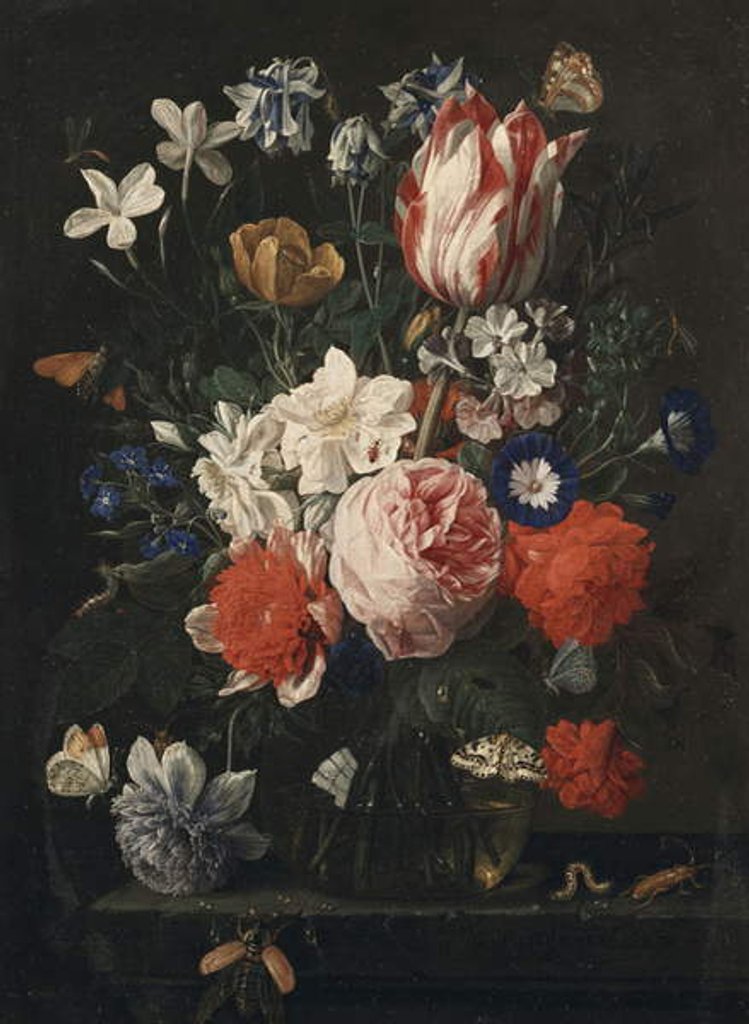 Detail of A rose, a tulip, morning glory and other flowers in a glass vase on a stone ledge, 1671 by Nicholaes van Verendael