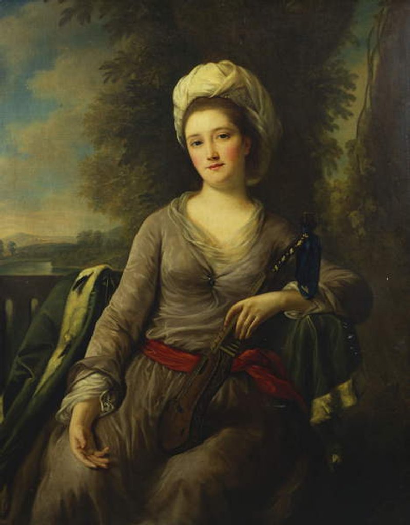 Detail of Portrait of a Lady, thought to be Mrs Wells by Nathaniel Dance