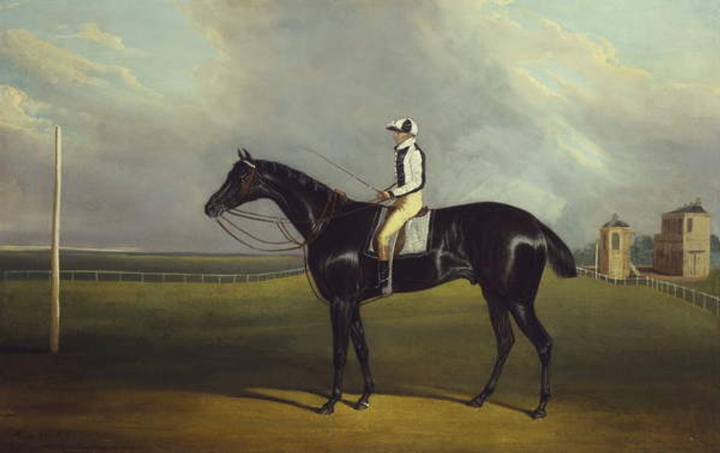 Detail of Mr R.O. Gascoigne's 'Jerry' with B. Smith up on Doncaster Racecourse by David of York Dalby