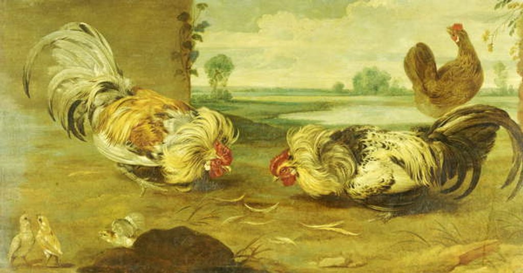 Detail of A Cock Fight by Frans Snyders