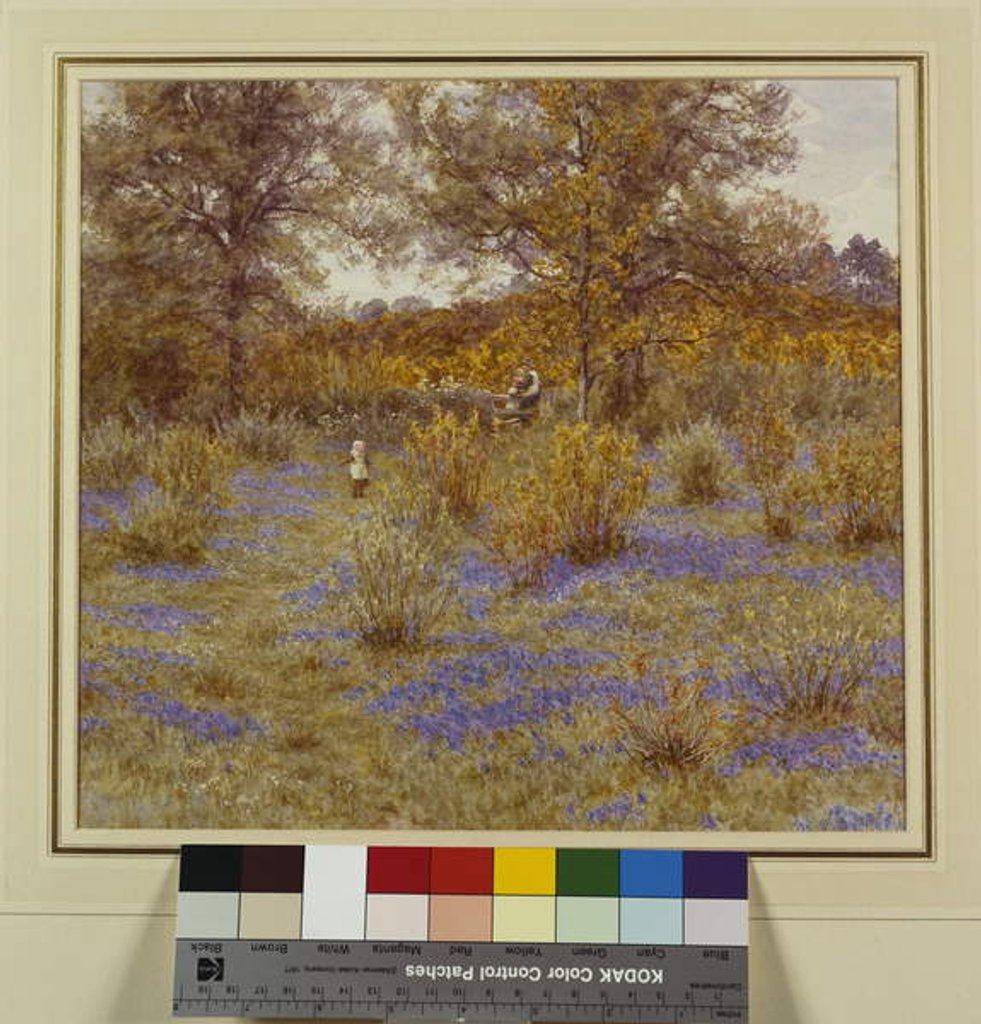 Detail of Bluebell Copse, 1889 by Helen Allingham