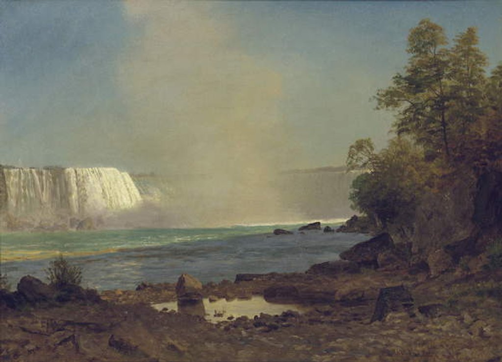 Detail of Niagara Falls, 1863 by Albert Bierstadt