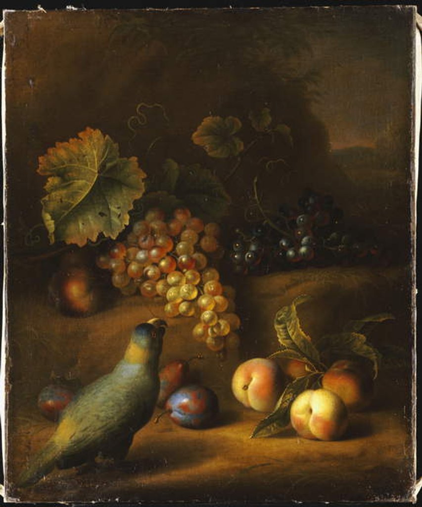 Detail of A Parrot with Grapes, Peaches and Plums in a Landscape by Tobias Stranover