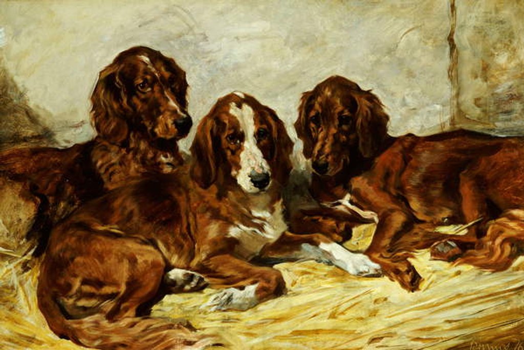 Detail of Shot and his Friends - Three Irish Red and White Setters, 1876 by John Emms