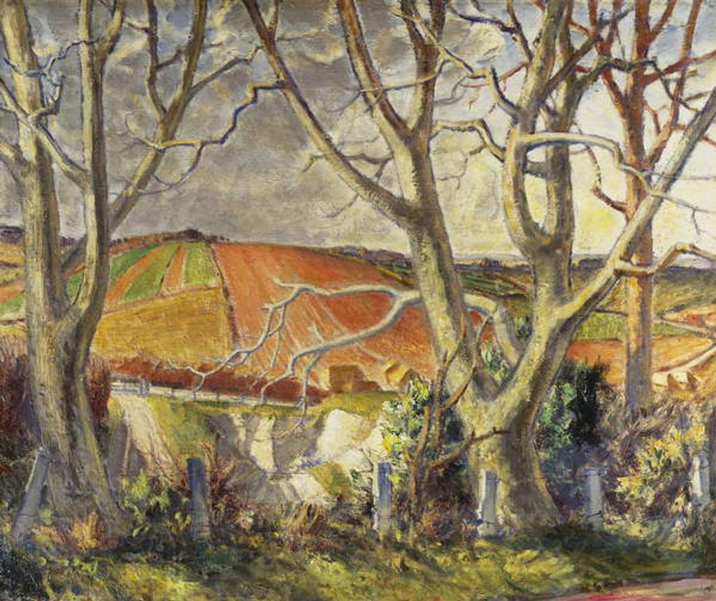 Detail of Dorset Chalk Quarry by Harry Morley