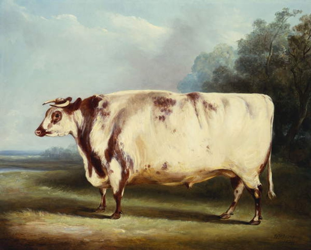 Detail of A Prize Bull, 1839 by William Henry Davis