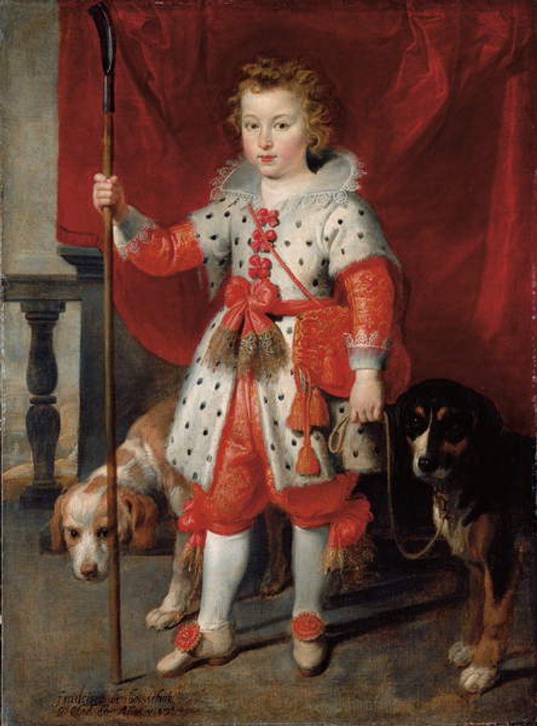 Detail of Portrait of a boy, traditionally called Francois de Boisschot by Cornelis de Vos