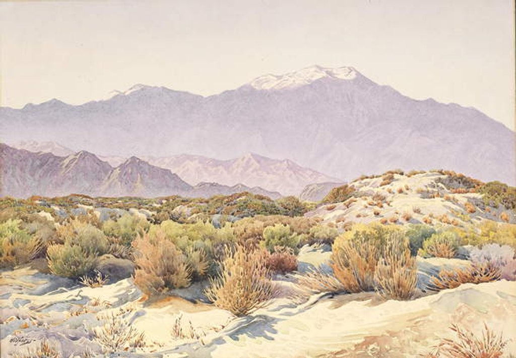 Detail of San Jacinto by Gunnar Widforss