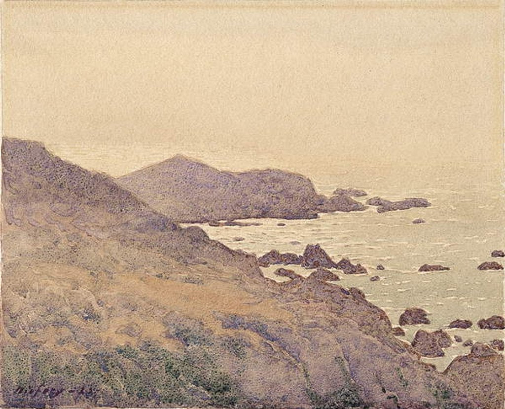 Detail of California Coast, 1923 by Gunnar Widforss