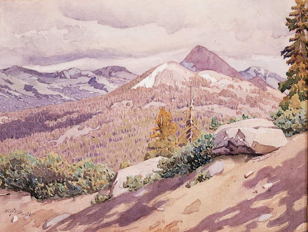 Detail of High Sierra, 1921 by Gunnar Widforss
