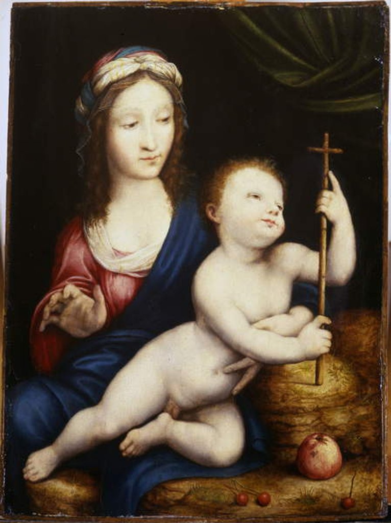 Detail of The Madonna and Child by Cornelis van Cleve