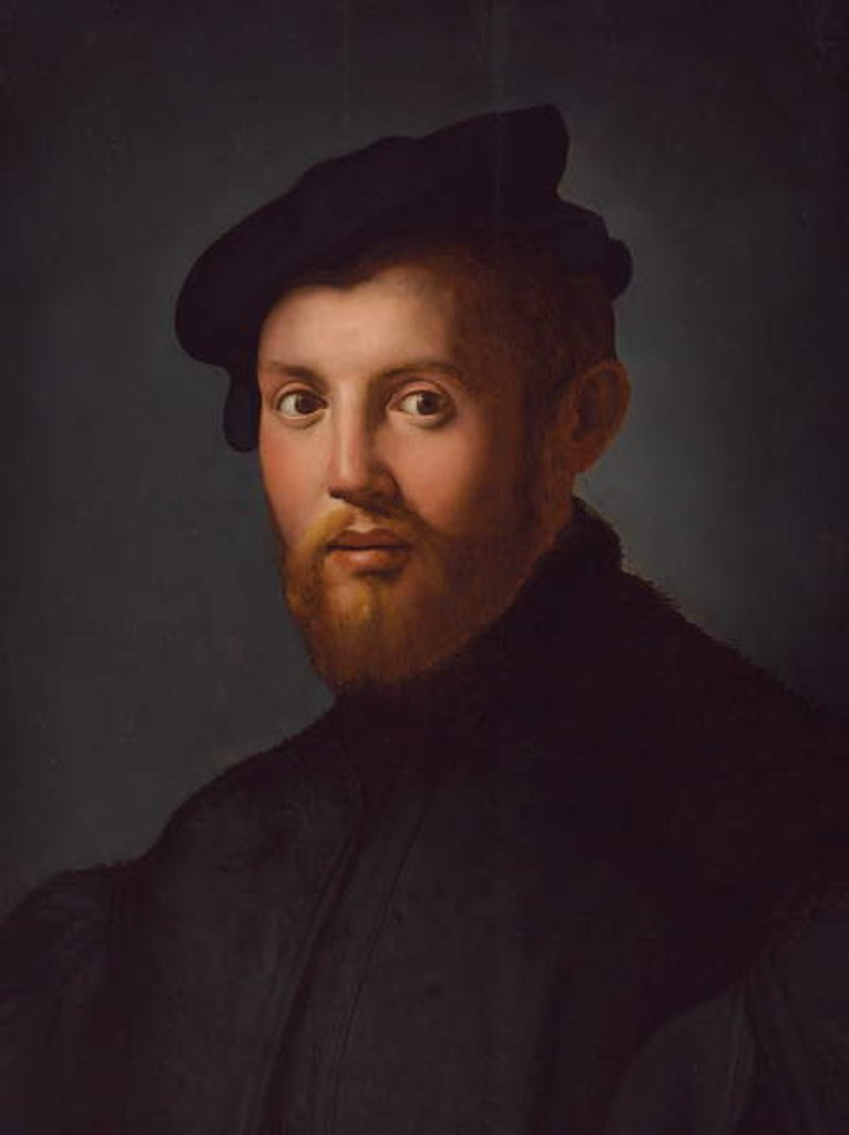 Detail of Portrait of a young man with a book by Agnolo di Cosimo Bronzino