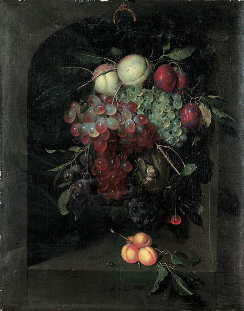 Detail of Swag of grapes, peaches, plums and cherries with a snail in a stone niche with a bunch of apricots and bee on a ledge, 1666 by Nicolaes Van Gelder