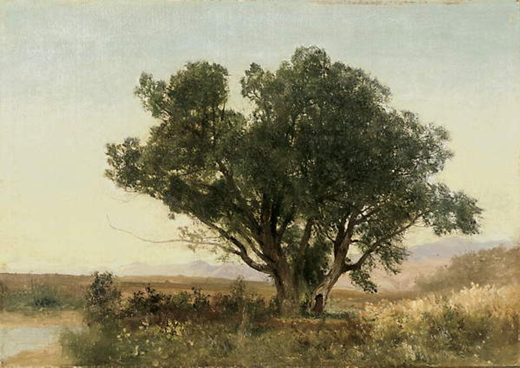 Detail of The Front Range, Colorado by John Frederick Kensett