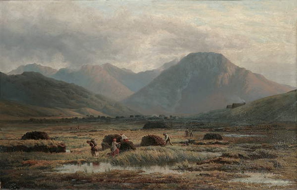 Detail of Peat Bog, Letterfrack, Connemara by Bartholomew Colles Watkins