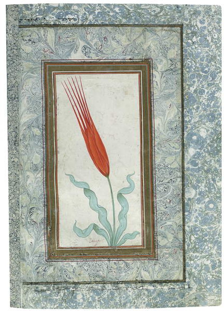 Detail of Page from the Turkish Tulip album, Istanbul, 1725 by Turkish School