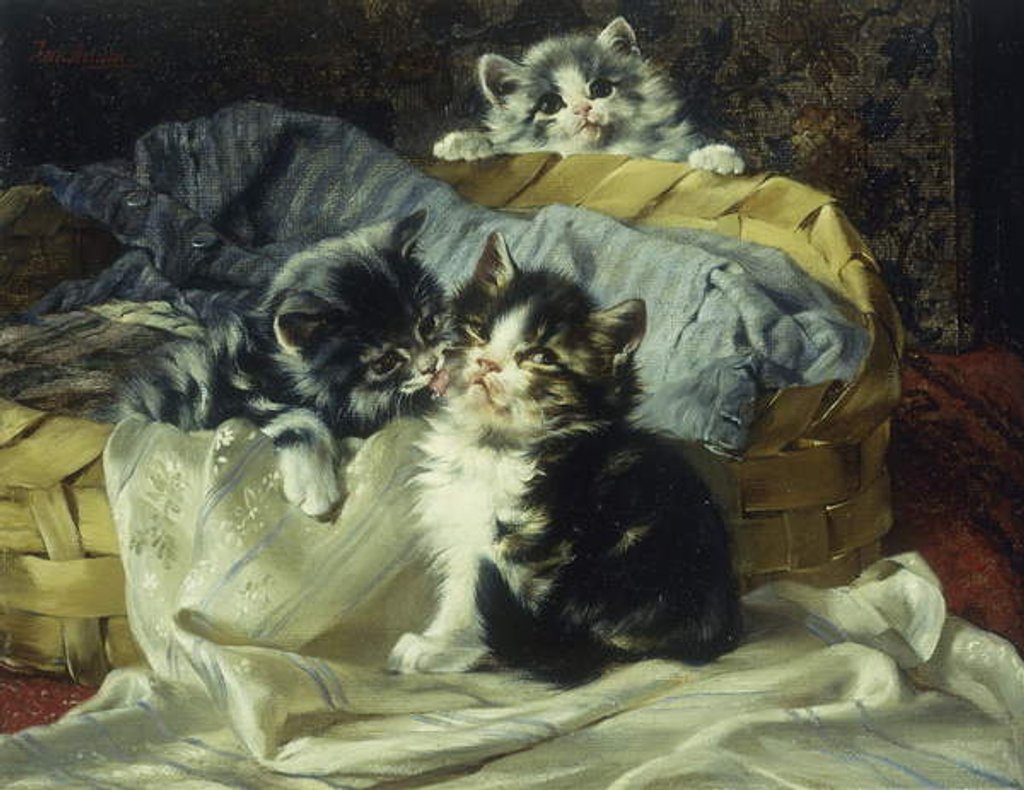 Detail of Playful Kittens by Julius Adam