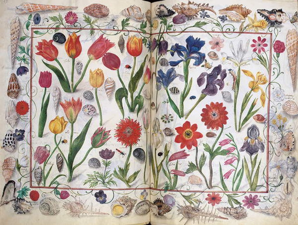 Detail of Pages from the Album Amicorum of Philipp Hainhofer, 1596-1633 by School European