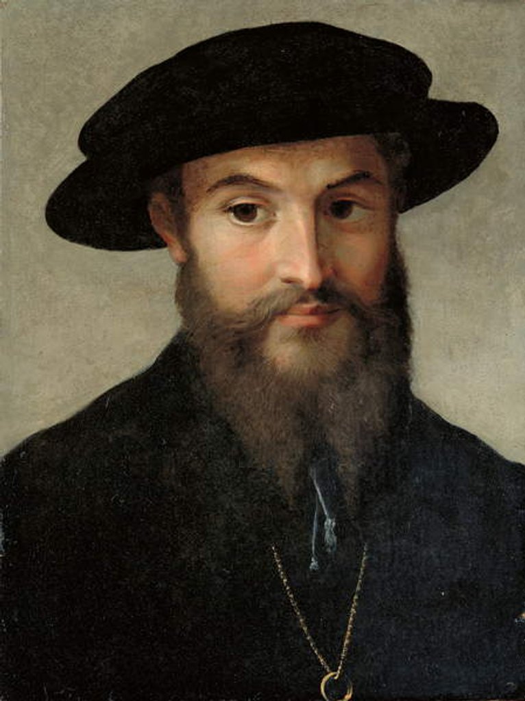 Detail of Portrait of a bearded man by Parmigianino