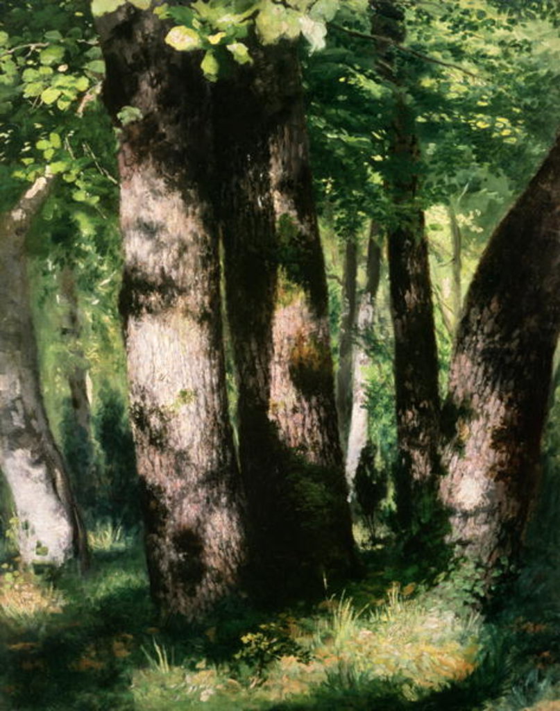 Detail of In the Forest of Fontainebleau by Pierre Auguste Renoir