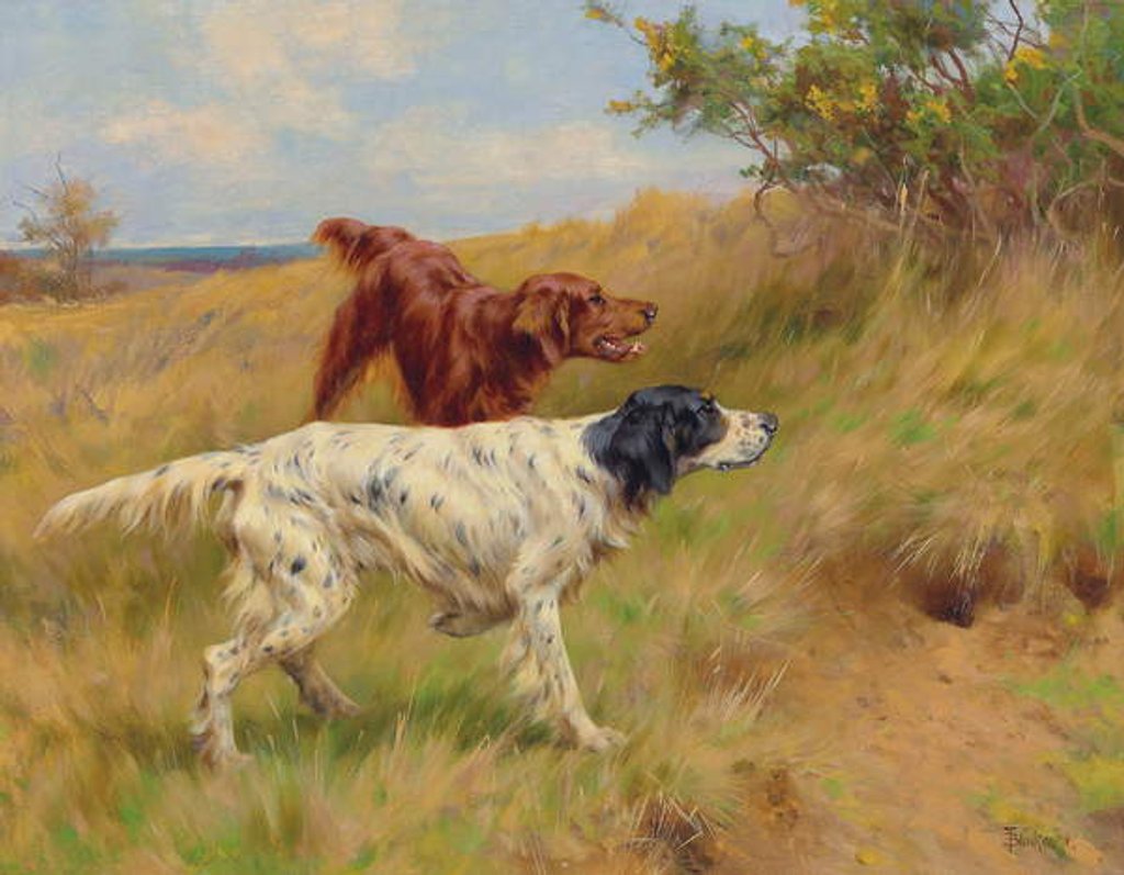 Detail of Setters, 2001 by Thomas Blinks