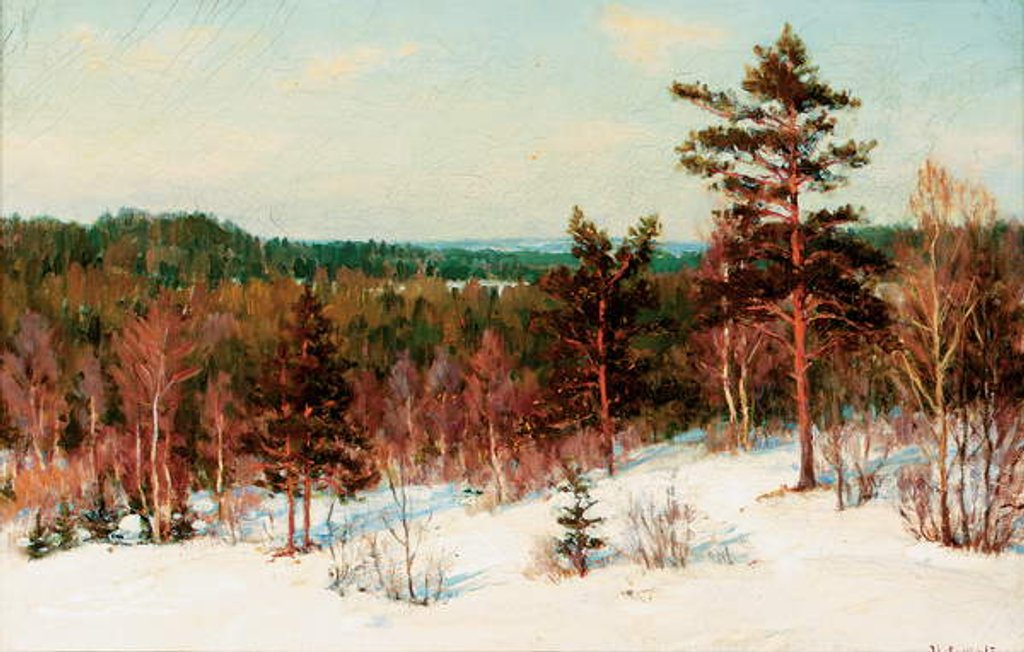 Detail of Winter - View over the Forest by Ivan Fedorovich Choultse