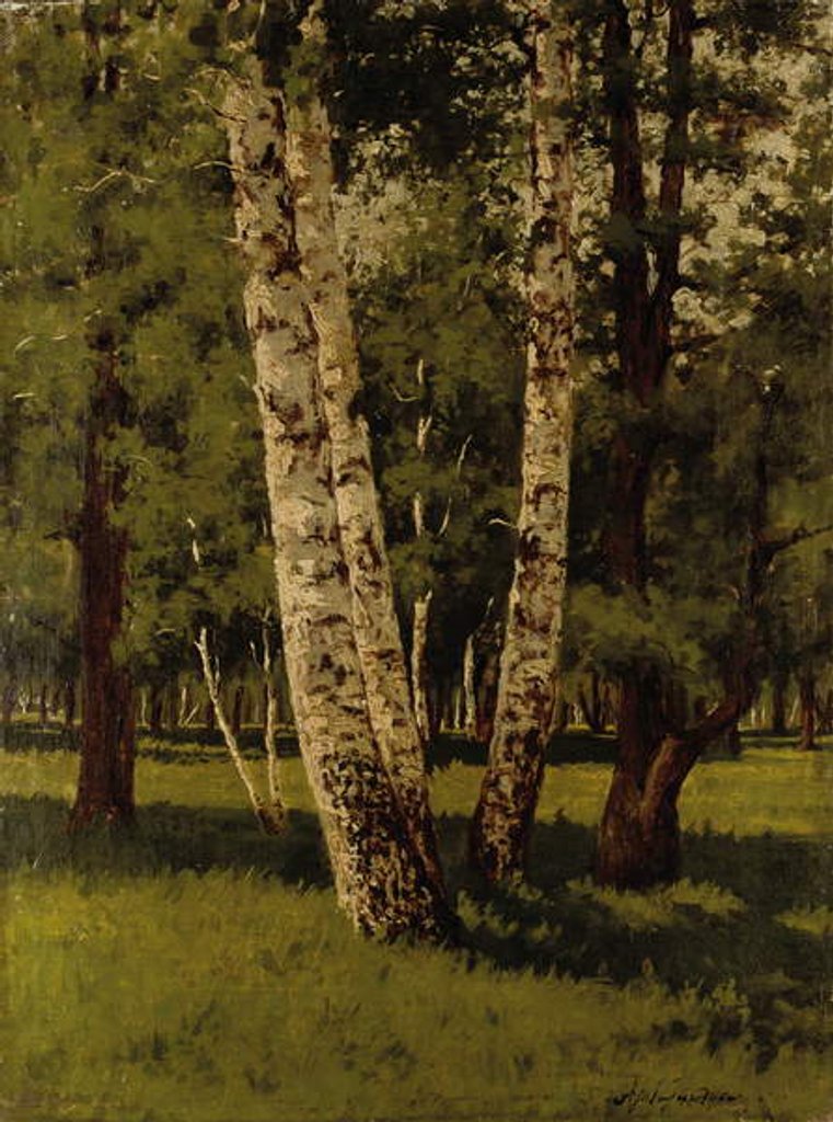 Detail of Birch trees by Arkhip Ivanovich Kuindzhi