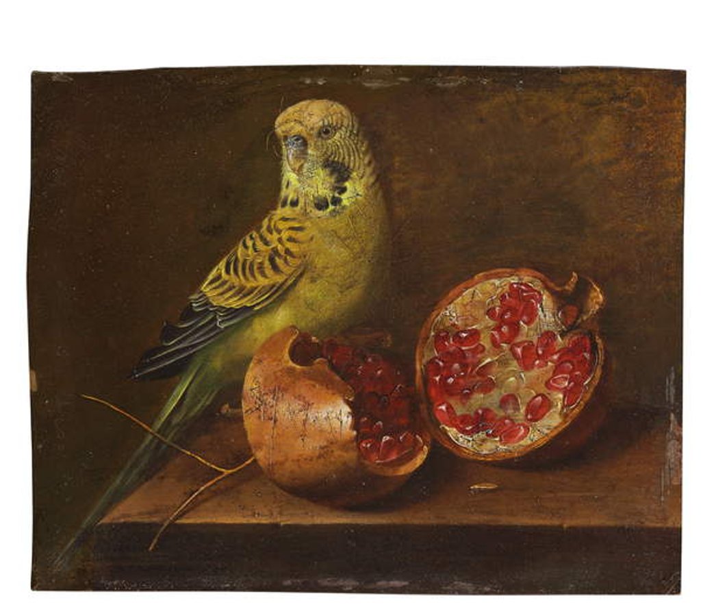 Detail of A parakeet and a pomegranate on a ledge by French School