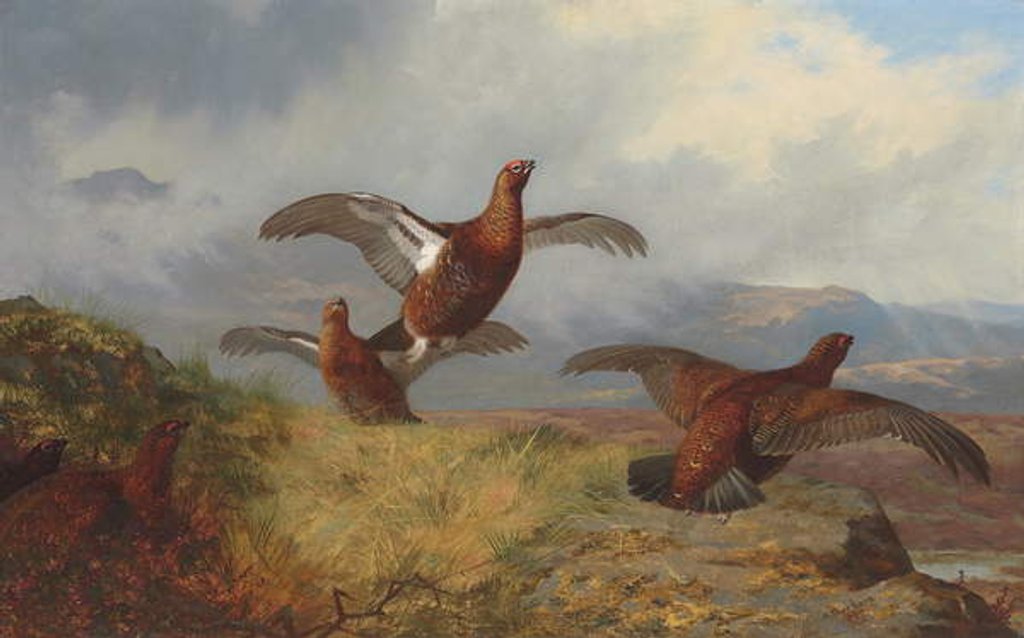 Detail of Grouse in flight, 1888 by Archibald Thorburn