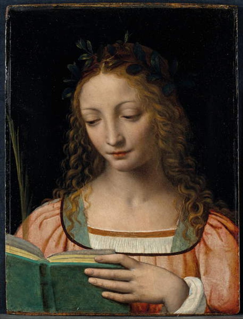 Detail of Bust length figure of saint, with a palm and reading the scriptures by Bernardino Luini