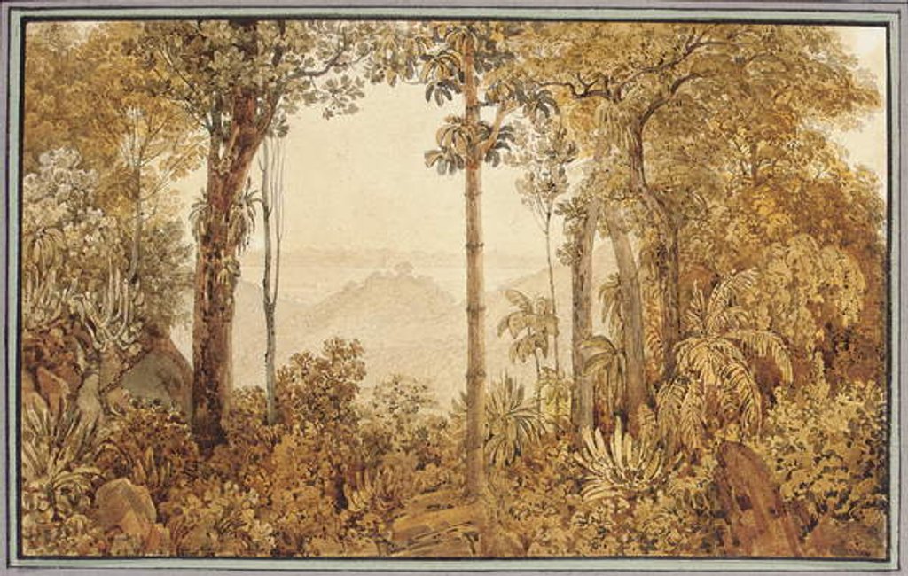 Detail of View overlooking Rio de Janeiro from the Tijuca forest by Thomas Ender