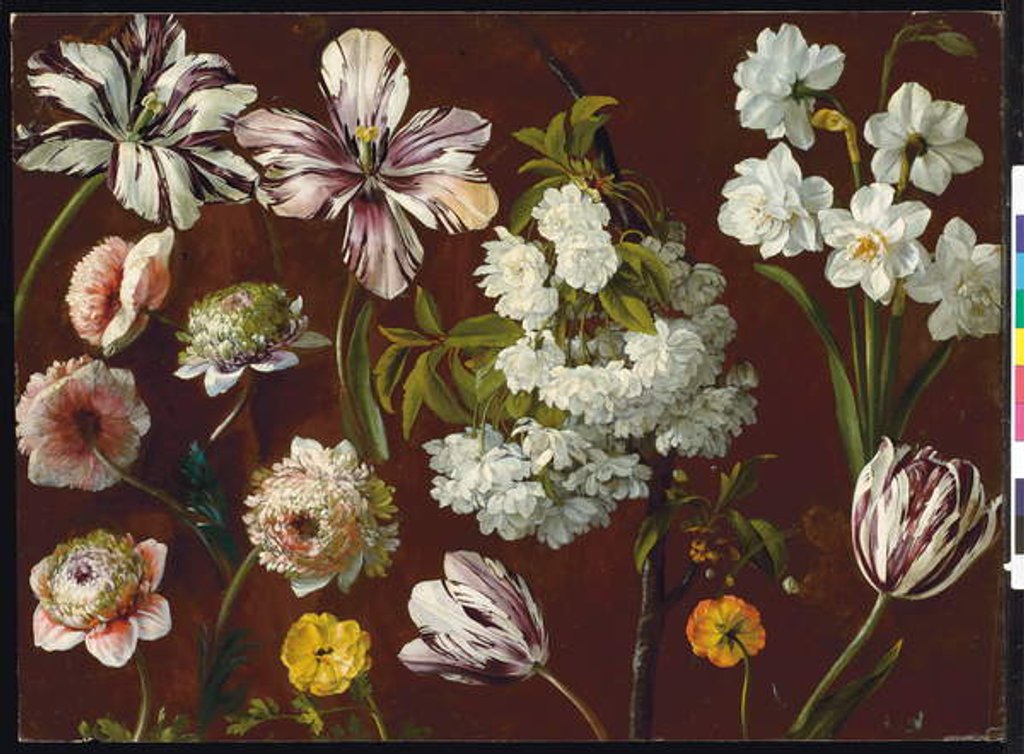 Detail of Purple tulips, white flowering prunus, narcissus and pink chrysanthemum by Pancrace Bessa