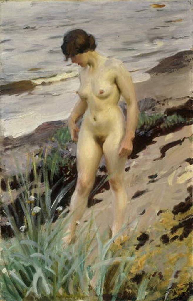 Detail of Sandhamn Study, 1914 by Anders Leonard Zorn