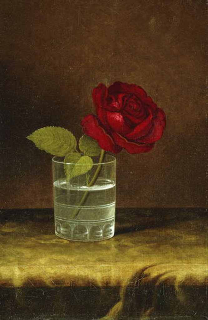 Detail of A Red Rose, by Martin Johnson Heade