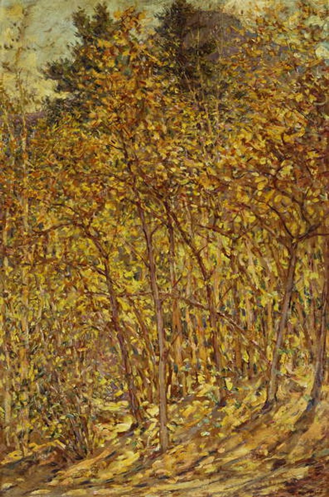 Detail of Autumn Sunlight by Robert Reid