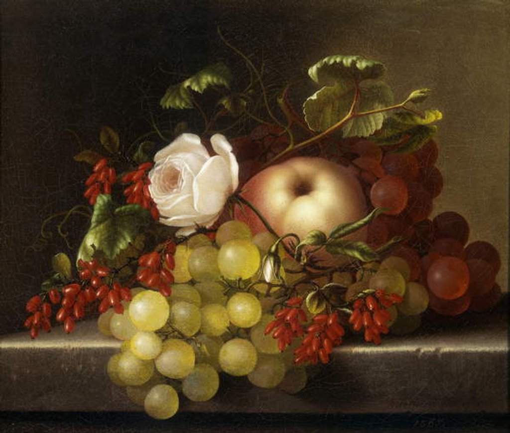 Detail of Still Life with Peach, Grapes and Rosehips, 1865 by Adelheid Dietrich