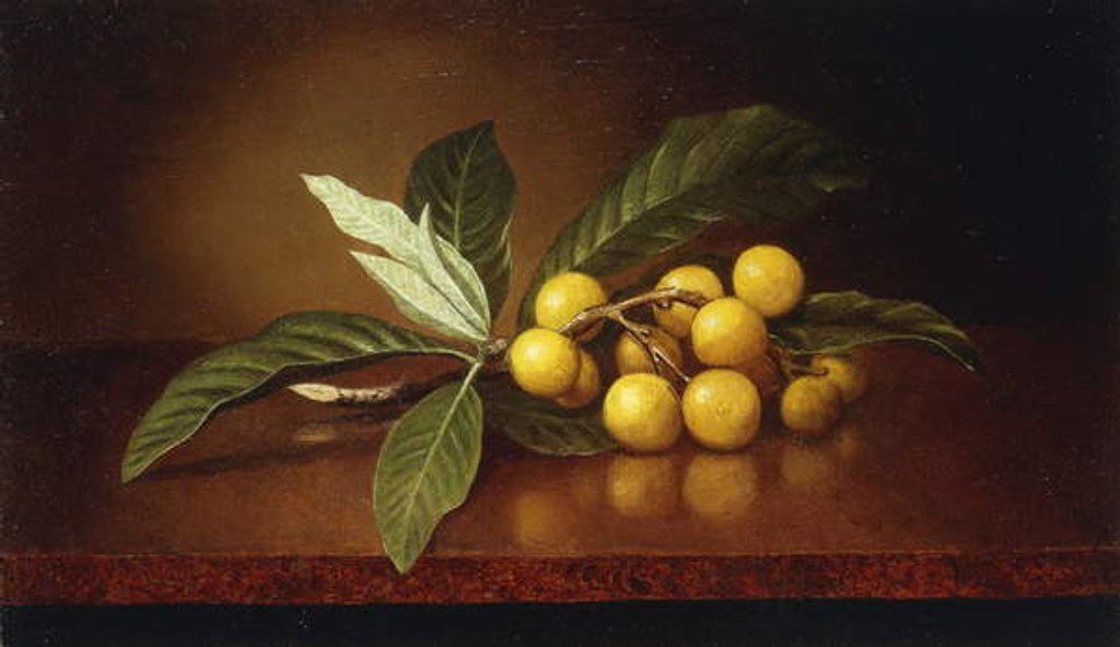 Detail of Tropical Plums by Martin Johnson Heade