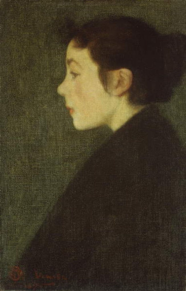 Detail of Venetian Profile, 1895 by Hermann Dudley Murphy