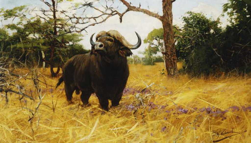 Detail of A Kaffir Buffalo in Prairie Grass by Wilhelm Kuhnert