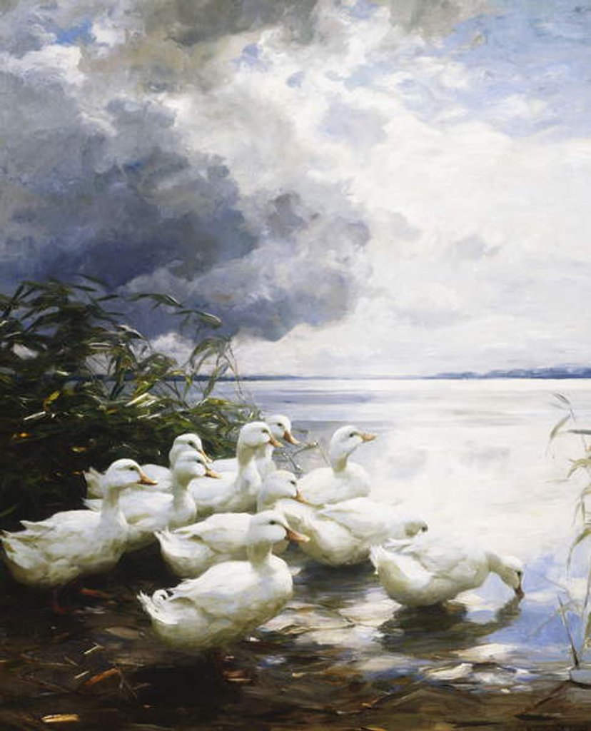 Detail of Ducks at the Lake's Edge by Alexander Koester