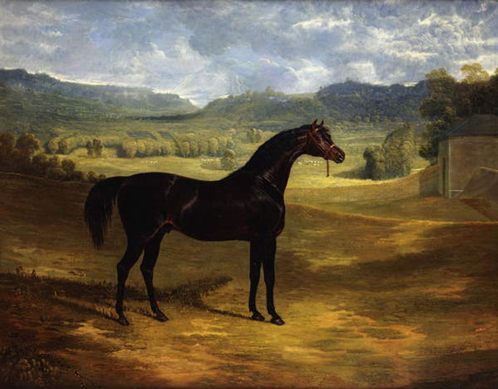 Detail of Jack Spigot, a Dark Bay Racehorse in a Paddock at Bolton Hall, 1824 by John Frederick Herring Snr