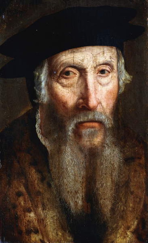 Detail of Portrait of a Bearded Man by John the Elder Bettes