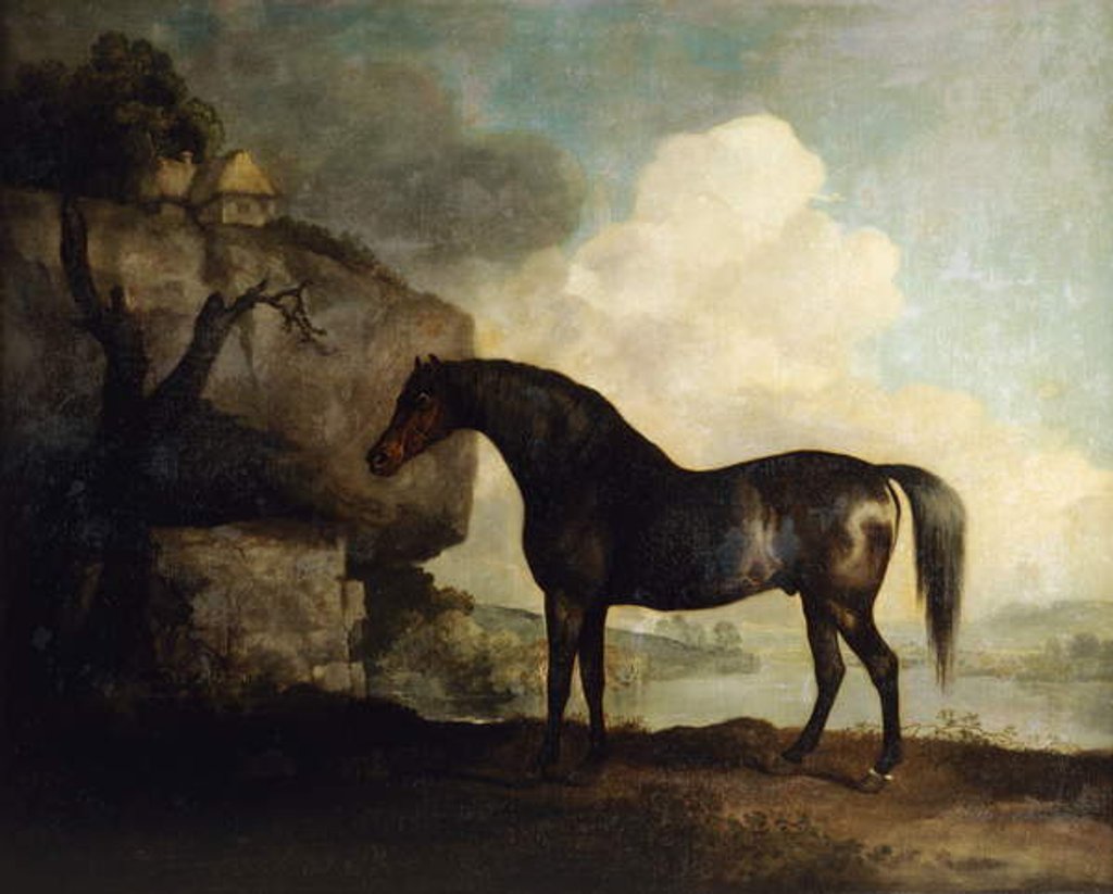 Detail of Marske by George Stubbs