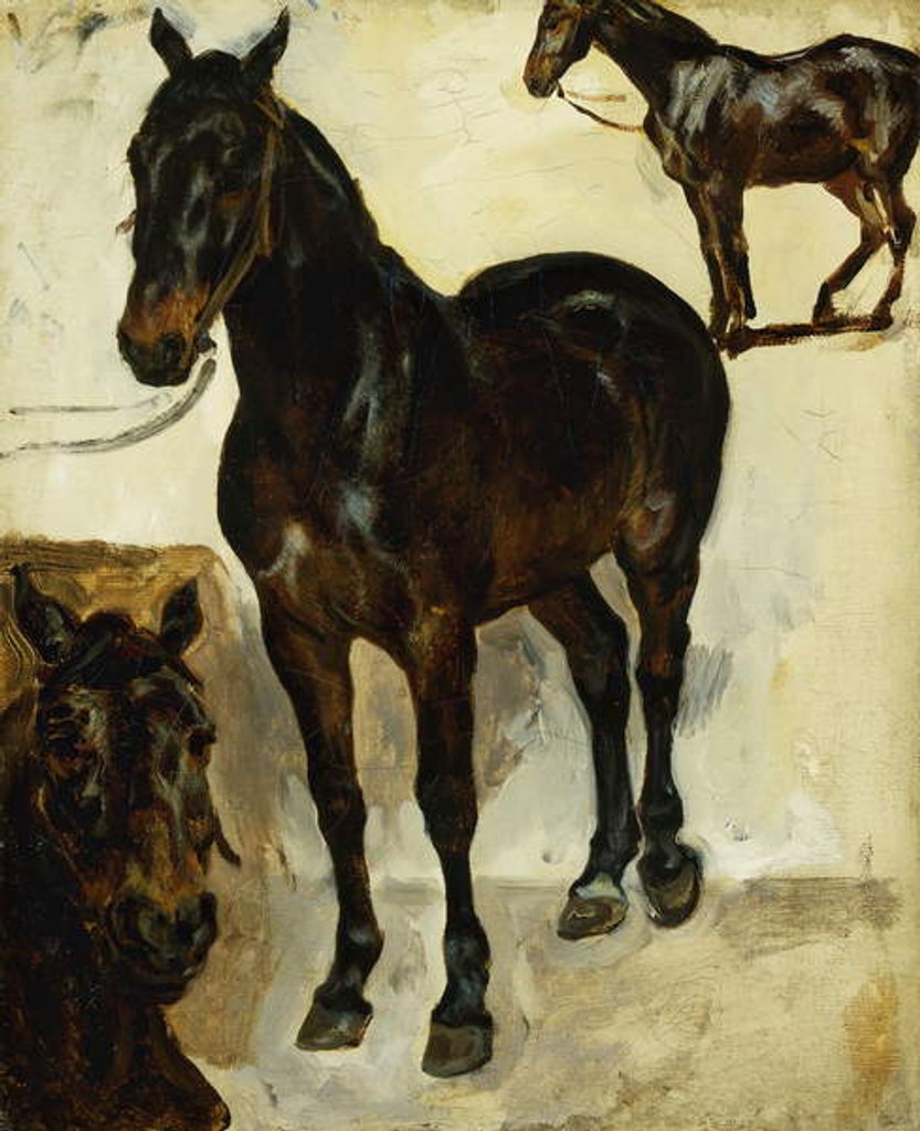 Detail of Three Studies of Horses; Trois Etudes de Chevaux, c.1823 by Ferdinand Victor Eugene Delacroix