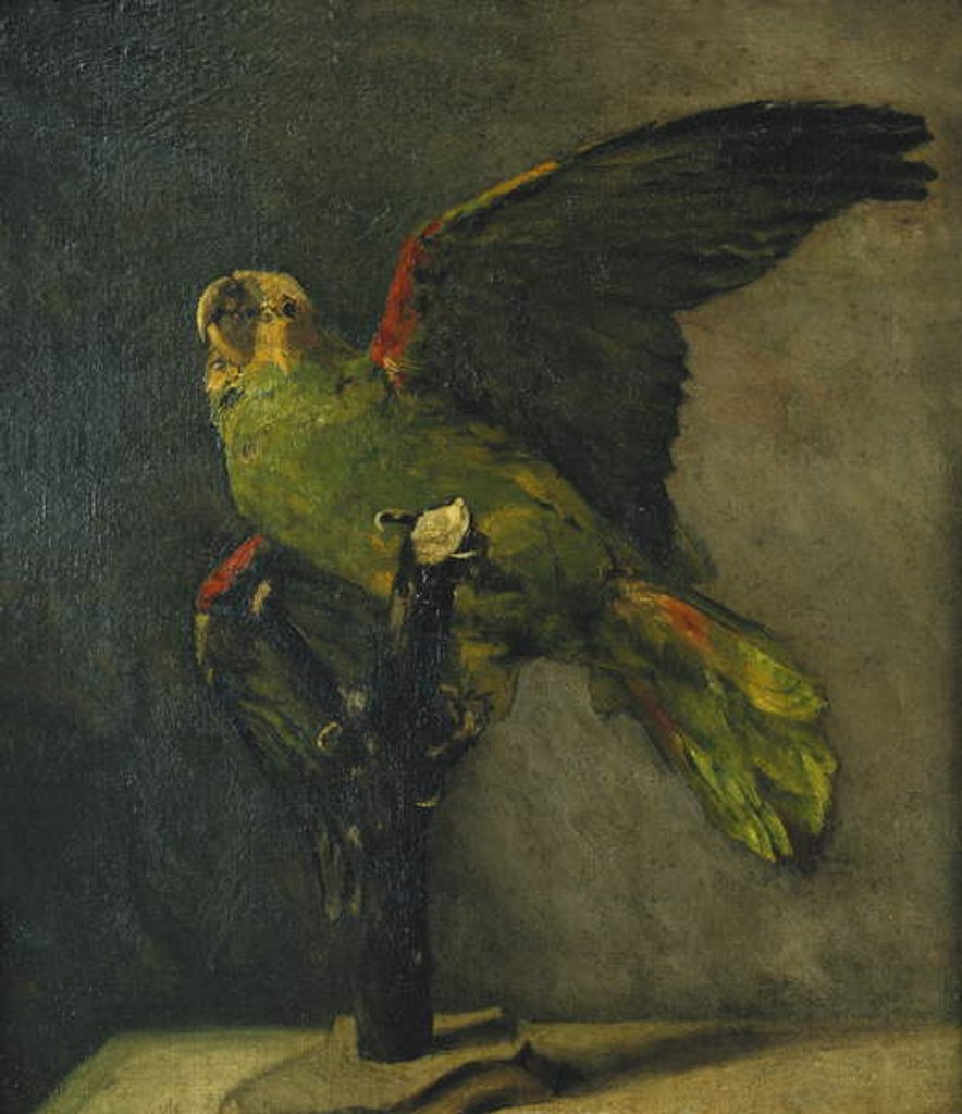 Detail of The Green Parrot; Le Perroquet Vert, 1885 by Vincent van Gogh