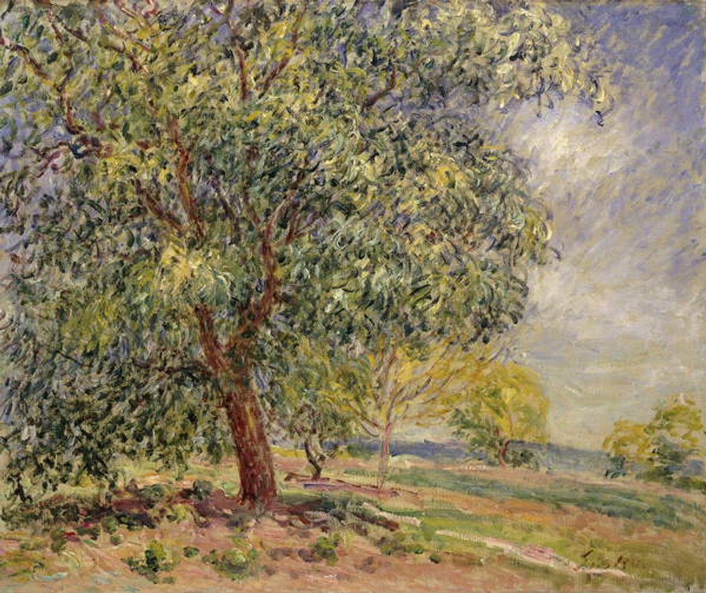 Detail of Walnut Tree at Sablons in Spring; Noyers aux Sablons, Primptemps, 1885 by Alfred Sisley