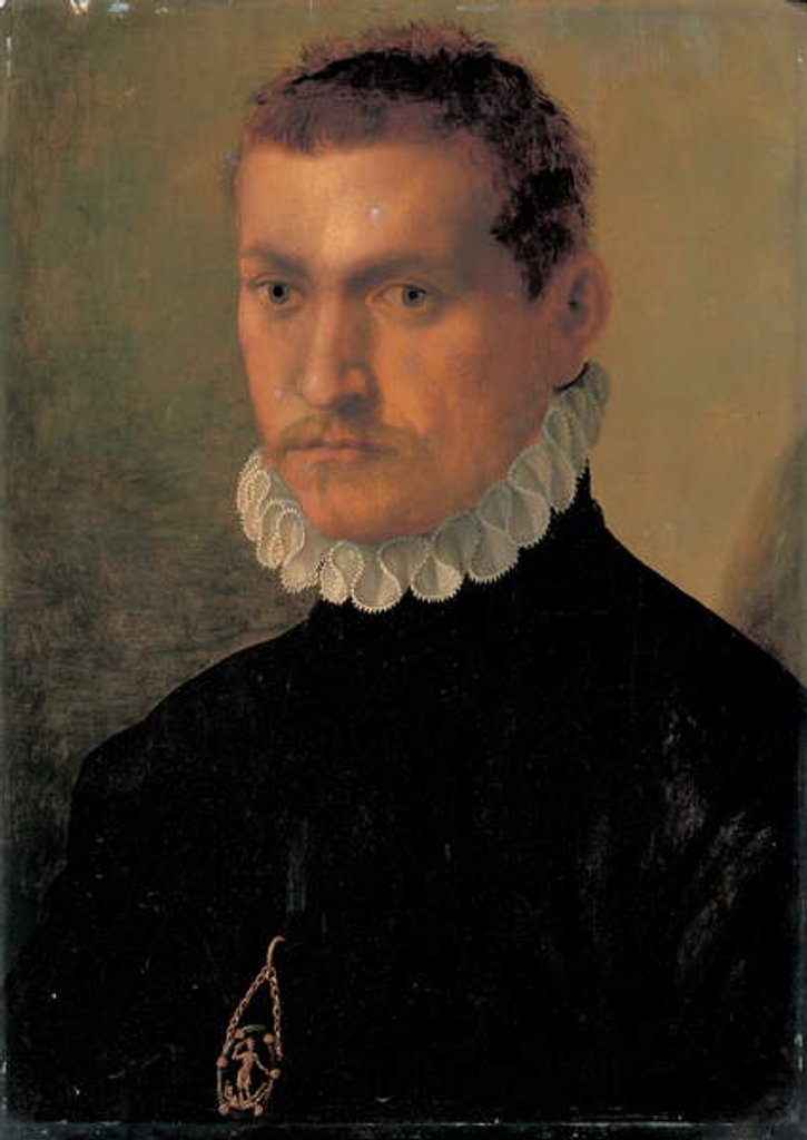 Detail of Portrait of a knight by Francesco de Rossi Salviati Cecchino